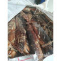 frozen baby giant squid whole round